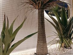 -兰湘子·湘菜小炒(崂山丽达店)