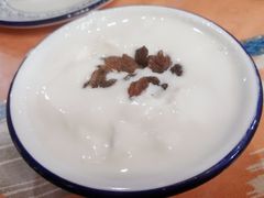 新月自制酸奶-新疆欣悦饭庄