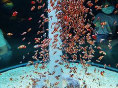 -海合安成都极地海洋公园