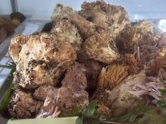 -野生菌火锅(菌王村店)