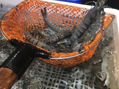 -盒马鲜生(皇庭广场店)