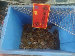 -龙的酒楼·手工早茶·顺德菜(近良路店)