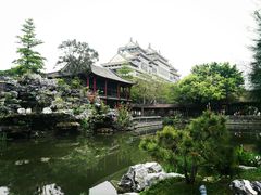 -顺峰山公园