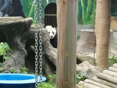 -南昌动物园