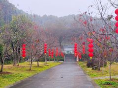 -广州市帽峰山景区