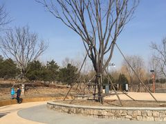 -东郊湿地公园