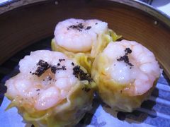 虾饺-糖朝(尖沙咀店)