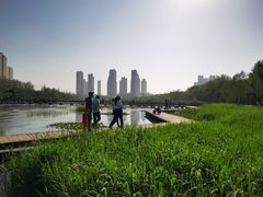 -前关湿地公园