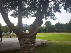 -眉山湿地公园(东坡区)