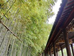 -龙潭水乡