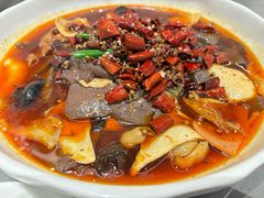 -宏宴·新京菜(望京店)