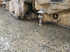 -海口观澜湖火山温泉谷