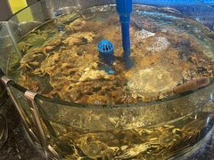 -星伦多自助料理·涮烤一体(奉贤龙湖天街店)