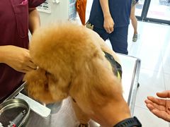 -中农大我爱我爱动物医院·核磁CT·猫病·24小时夜诊中心(石佛营店)
