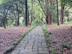 -杭州植物园