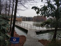-尚贤河湿地