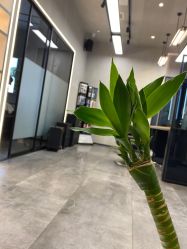 -SEBASTIAN塞巴斯汀