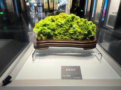 -安徽省地质博物馆
