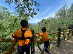 -阳台山自然风景区