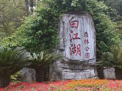 -广州白江湖森林公园