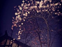 -壹丁咖啡(宽窄巷子店)