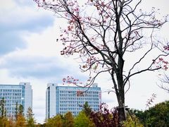 -颐景园