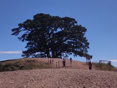 -红土地风景区