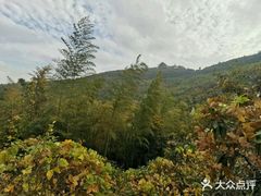-穹窿山景区