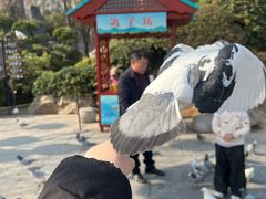 -中国翰园碑林