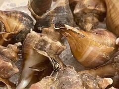 -白仁仔· 活烤海鲜 宵夜(豫园店)