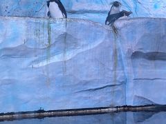 -海合安青岛极地海洋公园