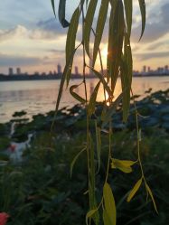 -玄武湖景区-情侣园游乐场