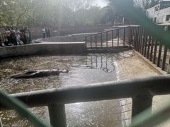-保定市动物园