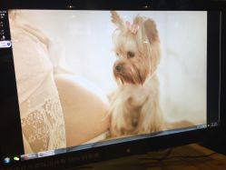 -鱼映像摄影·珍藏级影像品牌