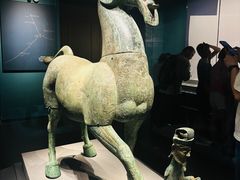 -广西壮族自治区博物馆