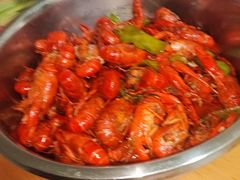 -印象高密·凤都国际大酒店