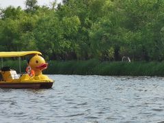 -长春市南湖公园