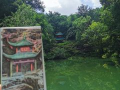 -岳麓山风景名胜区