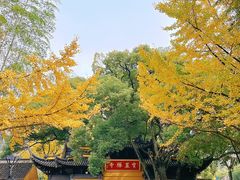 -虞山风景区