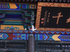 -广佑寺风景区