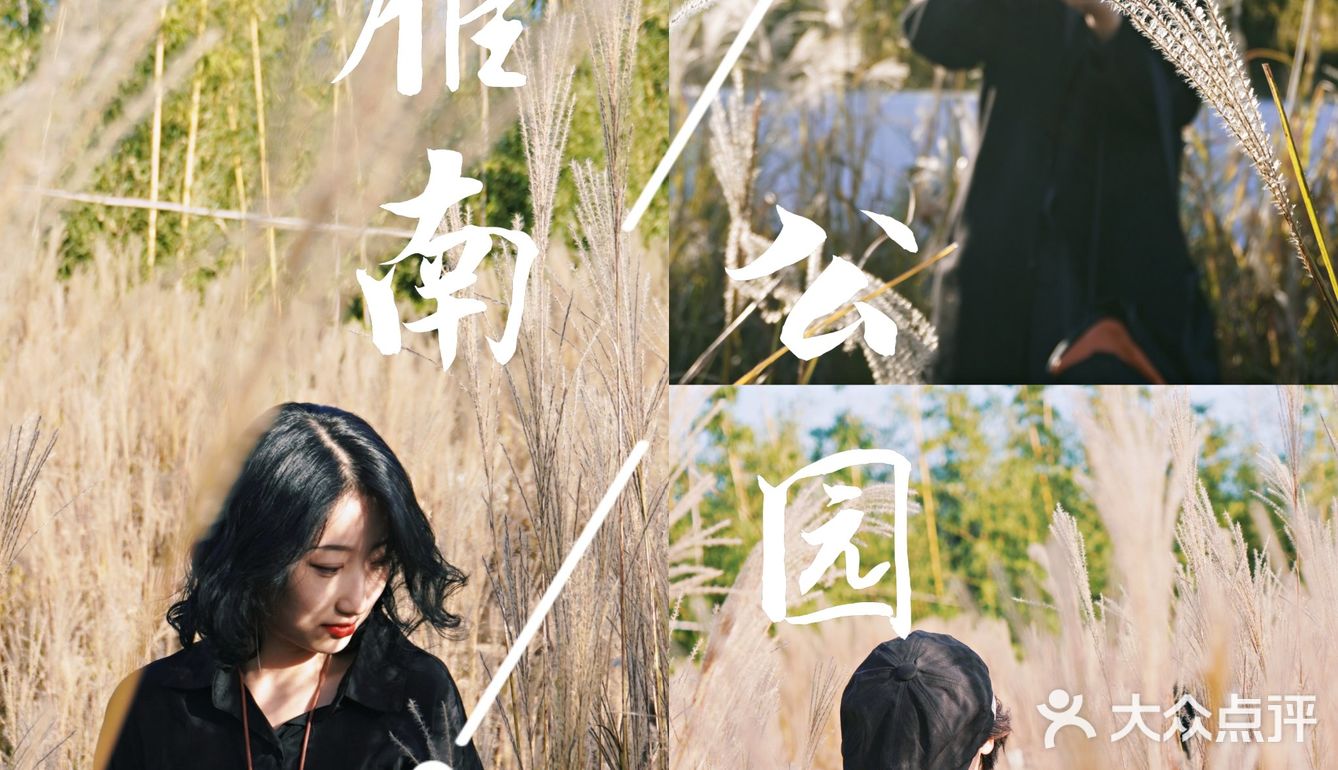 周末好去处‖雁南公园沐浴冬日暖阳