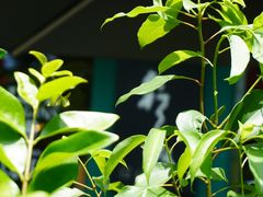 -行山咖啡(南湖店)