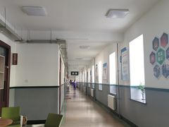 -东北师范大学附属中学(自由校区)