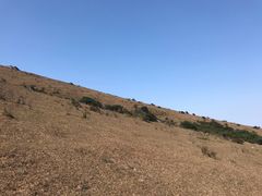 -大姆山草场