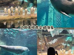 -波塞冬旅游度假区