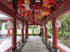-金城公园