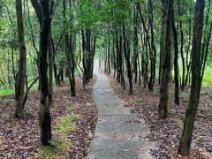 -飞霞风景名胜区