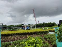 -百万葵园