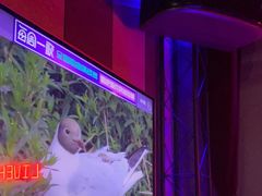 -唱吧麦颂KTV(高新店)