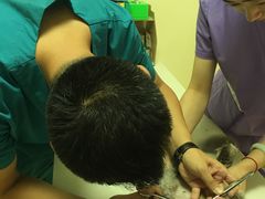 -瑞派宠物医院·24小时骨科·心脏·核磁(哈尔滨南岗店)